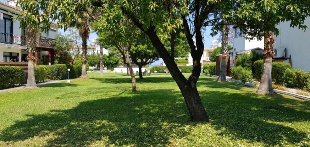 Akamas Sunset Bohemian Chic Apartment By One Villas Polis エクステリア 写真